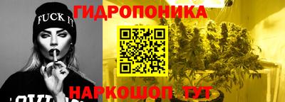 герыч Кингисепп