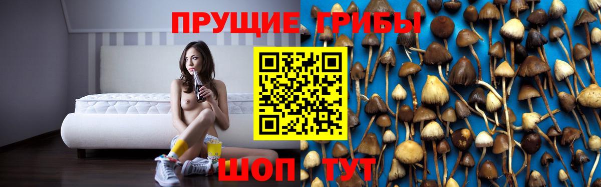 Псилоцибиновые грибы Psilocybe Октябрьский